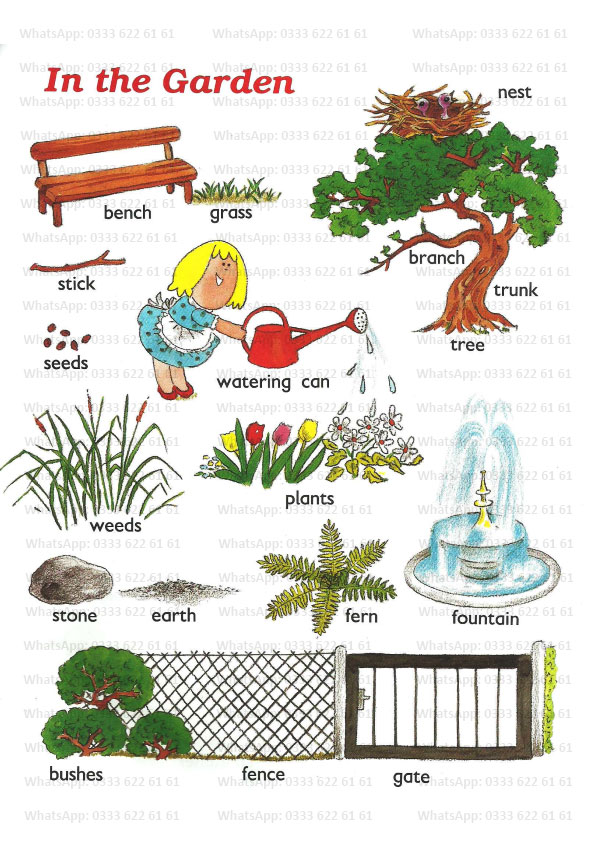 Garden english vocabulary